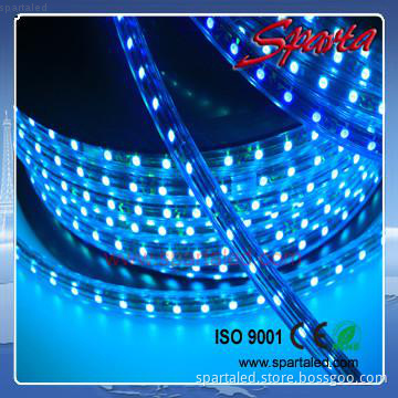 AC220-240V led flexible strip light blue color CE & ROHS